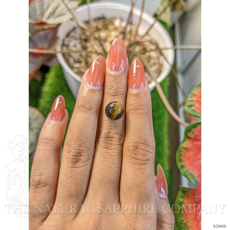 4.64 Ct. Cabochon Tiger's Eye from Ceylon (Sri Lanka)