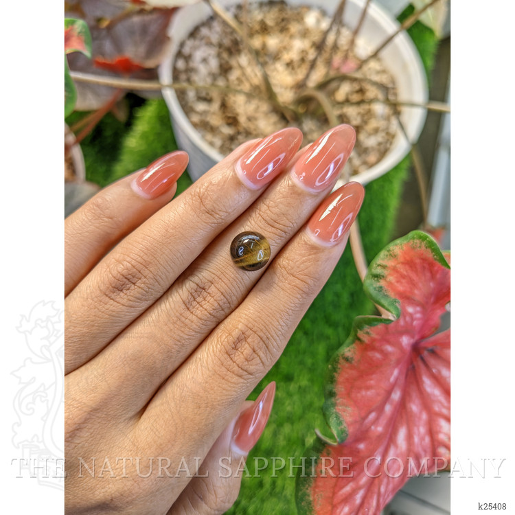 4.64 Ct. Cabochon Tiger's Eye from Ceylon (Sri Lanka)