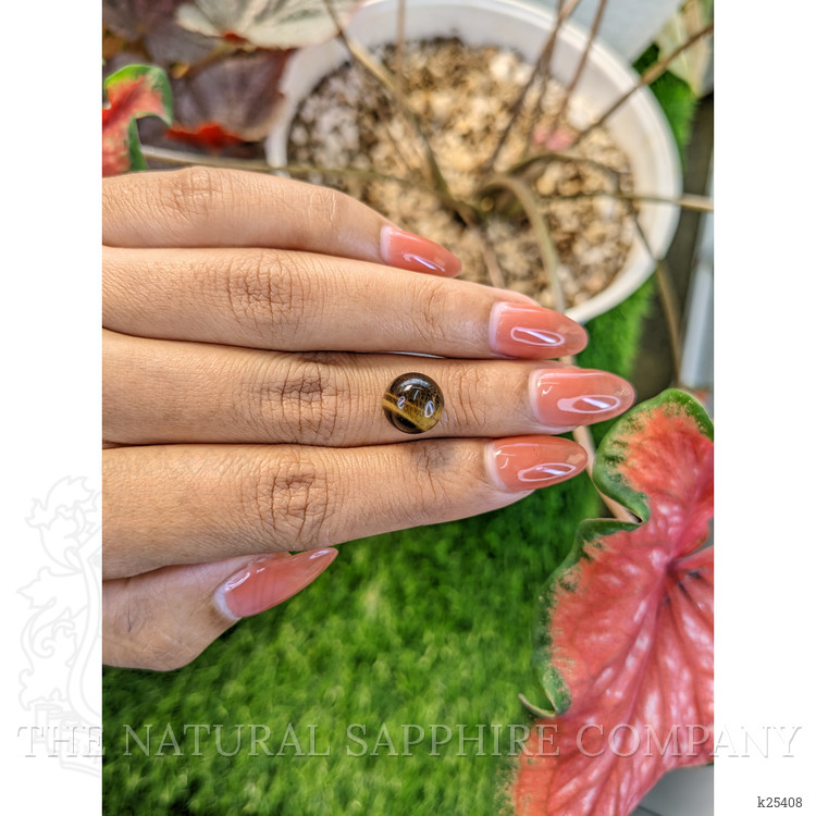 4.64 Ct. Cabochon Tiger's Eye from Ceylon (Sri Lanka)