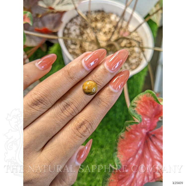 4.27 Ct. Cabochon Tiger's Eye from Ceylon (Sri Lanka)