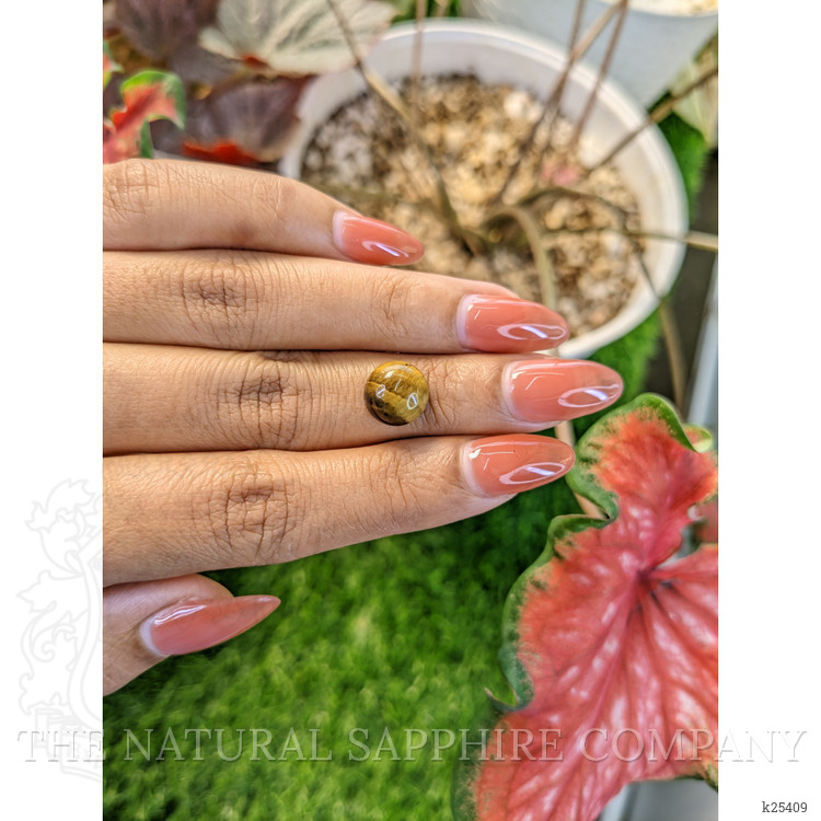 4.27 Ct. Cabochon Tiger's Eye from Ceylon (Sri Lanka)