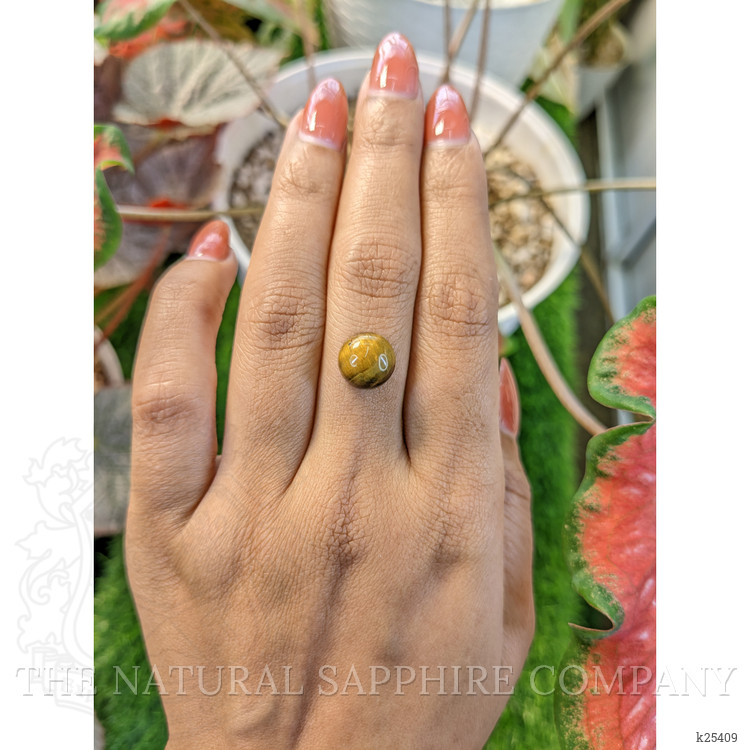 4.27 Ct. Cabochon Tiger's Eye from Ceylon (Sri Lanka)