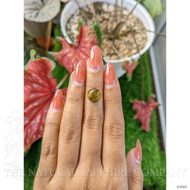 4.30 Ct. Cabochon Tiger's Eye from Ceylon (Sri Lanka)