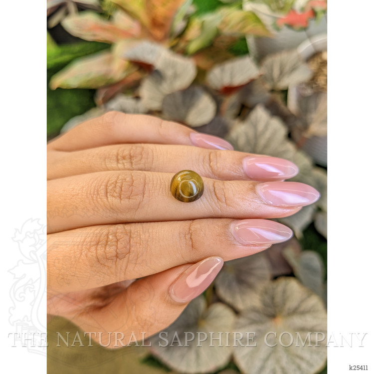4.32 Ct. Cabochon Tiger's Eye from Ceylon (Sri Lanka)