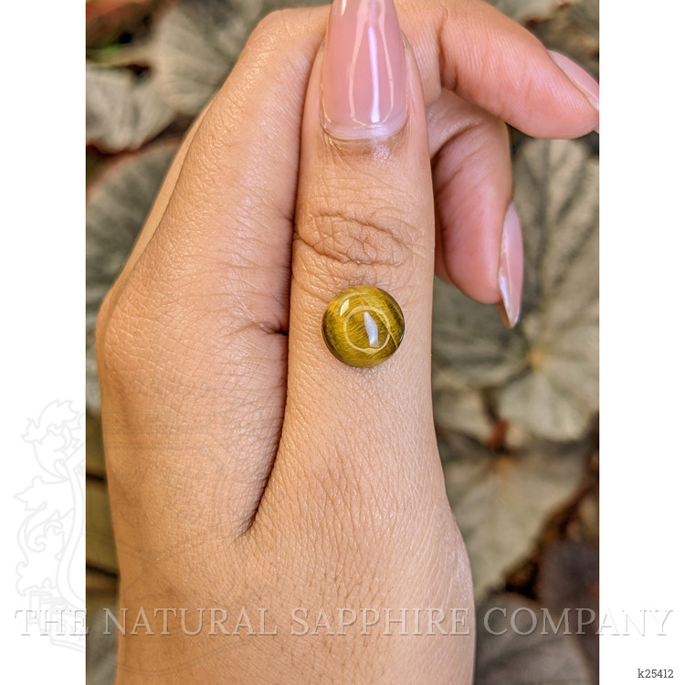4.06 Ct. Cabochon Tiger's Eye from Ceylon (Sri Lanka)