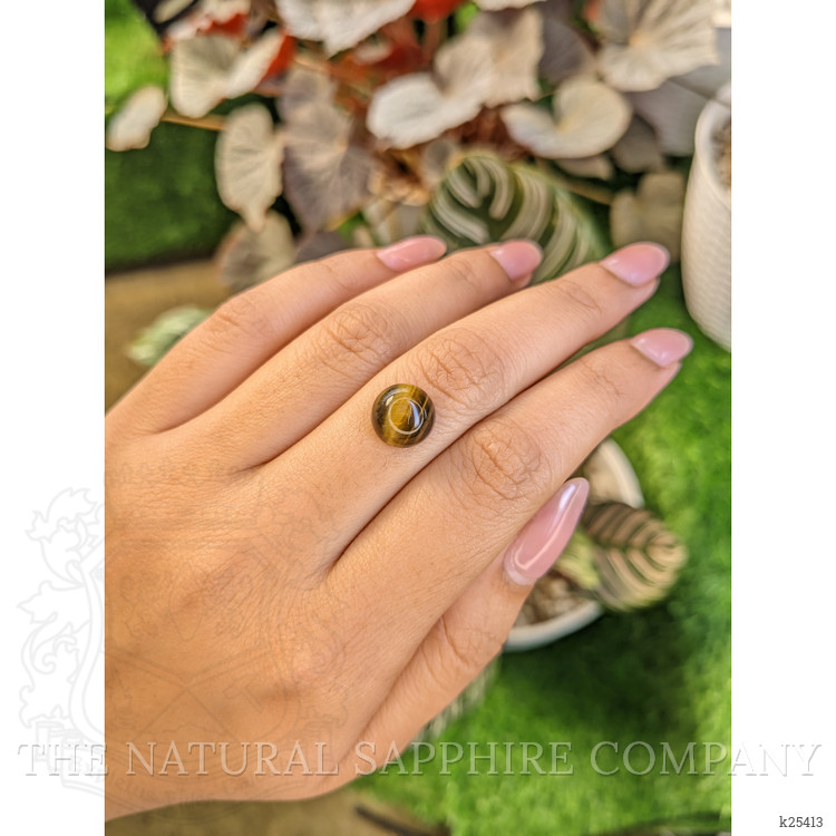 4.33 Ct. Cabochon Tiger's Eye from Ceylon (Sri Lanka)
