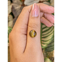 4.33 Ct. Cabochon Tiger's Eye from Ceylon (Sri Lanka) Life Style