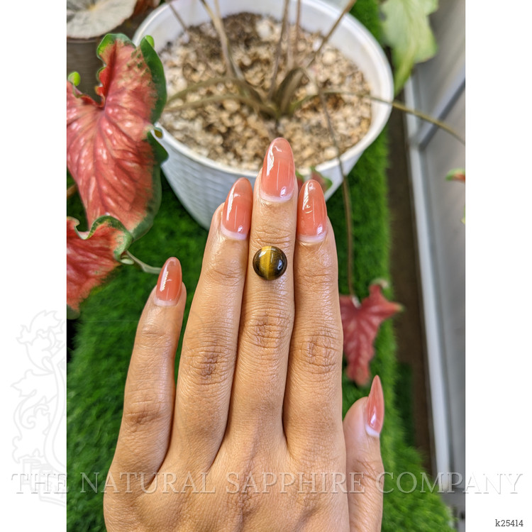 4.20 Ct. Cabochon Tiger's Eye from Ceylon (Sri Lanka)