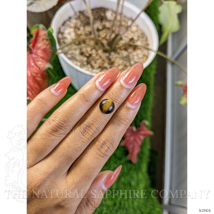 4.20 Ct. Cabochon Tiger's Eye from Ceylon (Sri Lanka)