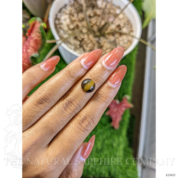 4.44 Ct. Cabochon Tiger's Eye from Ceylon (Sri Lanka)