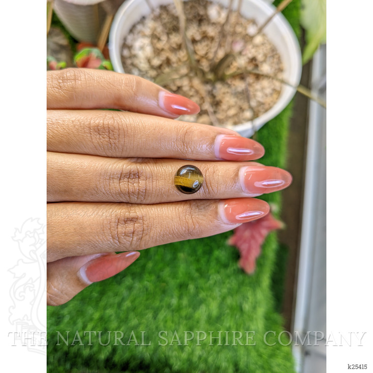 4.44 Ct. Cabochon Tiger's Eye from Ceylon (Sri Lanka)