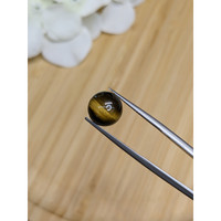 4.44 Ct. Cabochon Tiger's Eye from Ceylon (Sri Lanka) Life Style