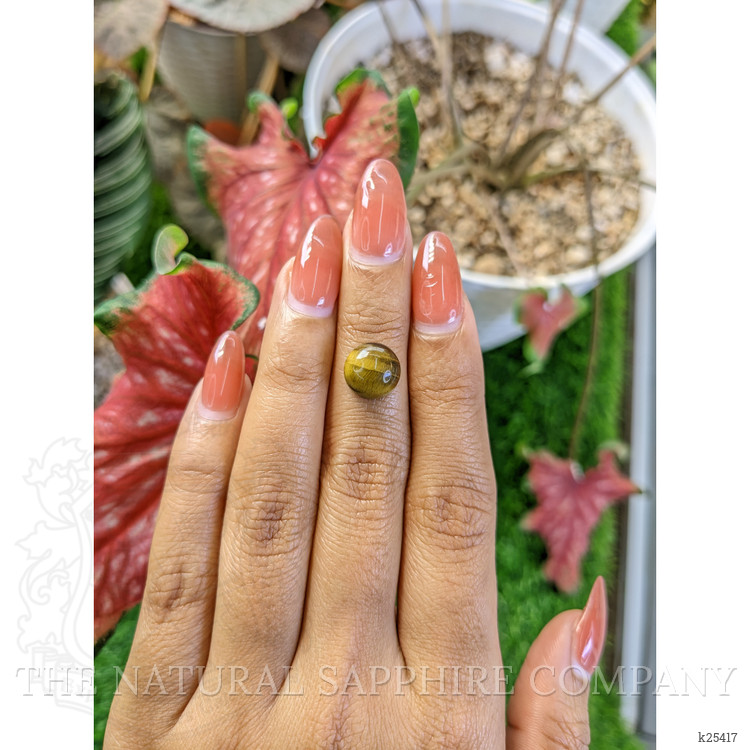 4.37 Ct. Cabochon Tiger's Eye from Ceylon (Sri Lanka)