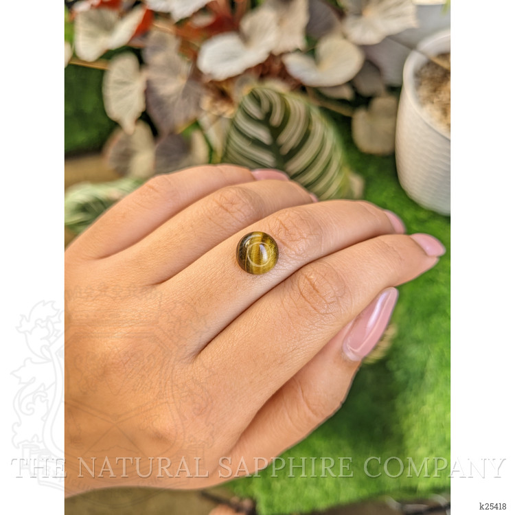 4.48 Ct. Cabochon Tiger's Eye from Ceylon (Sri Lanka)