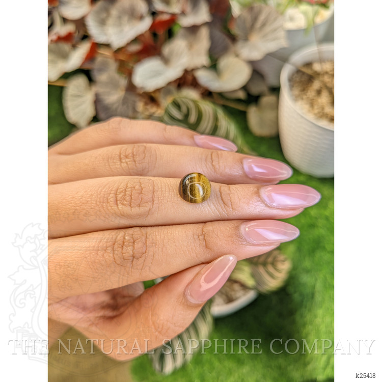 4.48 Ct. Cabochon Tiger's Eye from Ceylon (Sri Lanka)