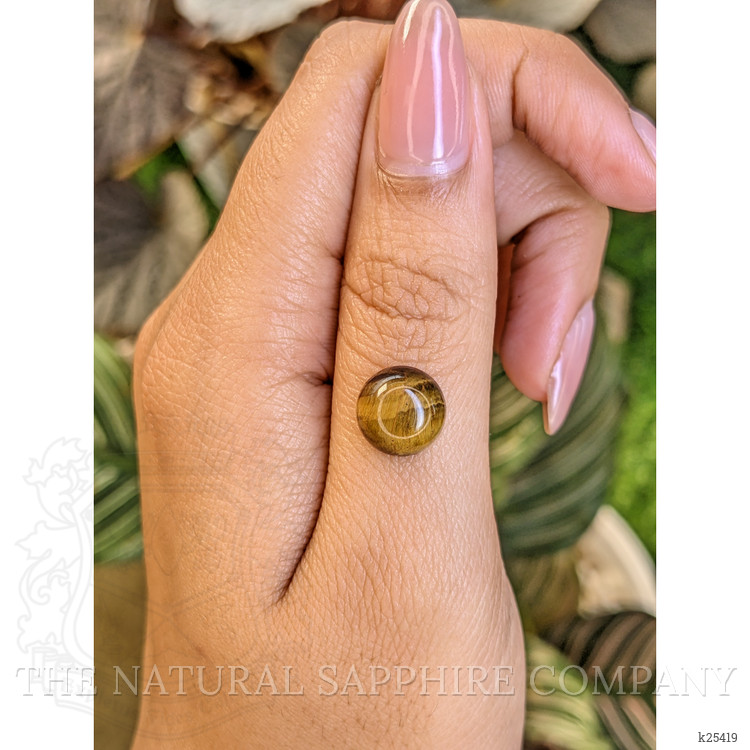 4.26 Ct. Cabochon Tiger's Eye from Ceylon (Sri Lanka)