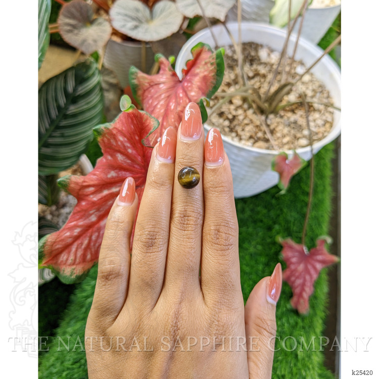 4.76 Ct. Cabochon Tiger's Eye from Ceylon (Sri Lanka)