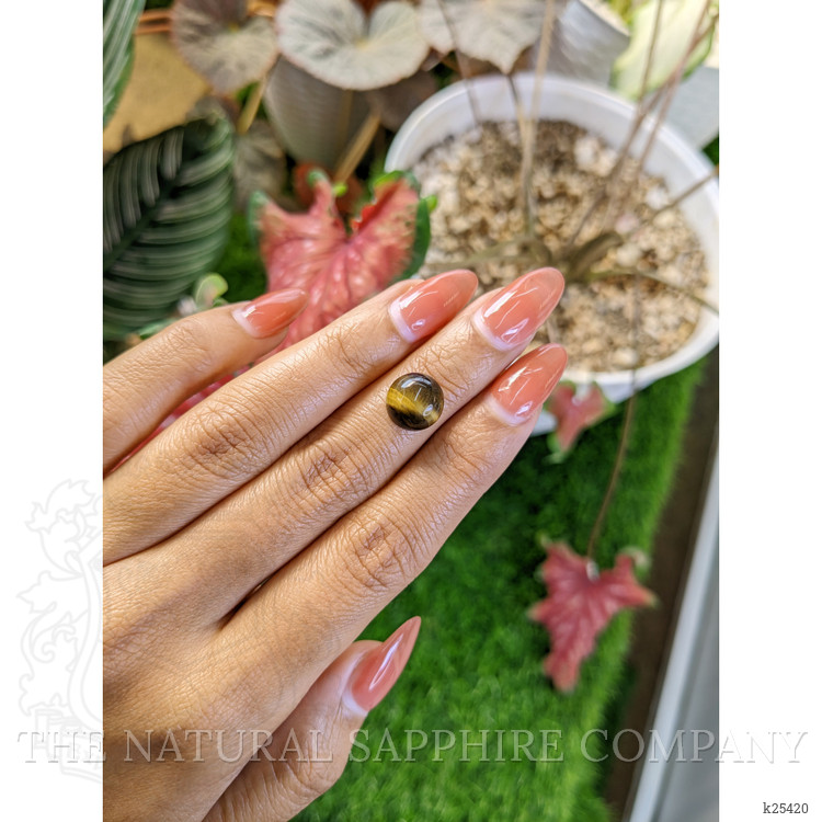 4.76 Ct. Cabochon Tiger's Eye from Ceylon (Sri Lanka)