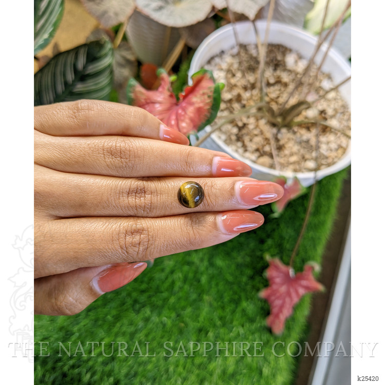 4.76 Ct. Cabochon Tiger's Eye from Ceylon (Sri Lanka)