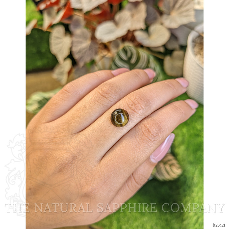 4.28 Ct. Cabochon Tiger's Eye from Ceylon (Sri Lanka)
