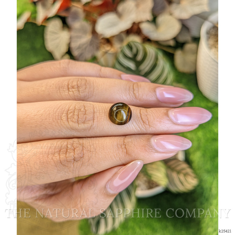 4.28 Ct. Cabochon Tiger's Eye from Ceylon (Sri Lanka)