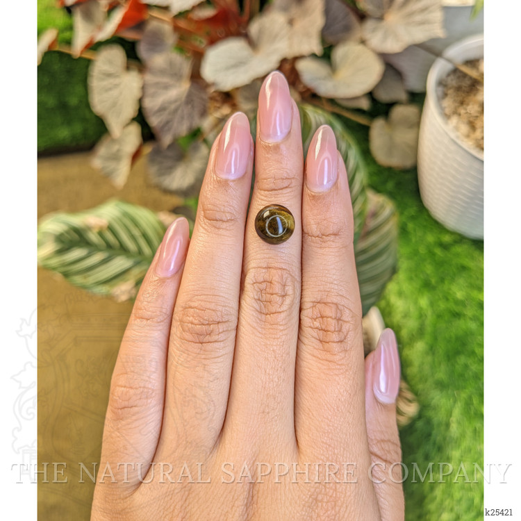 4.28 Ct. Cabochon Tiger's Eye from Ceylon (Sri Lanka)