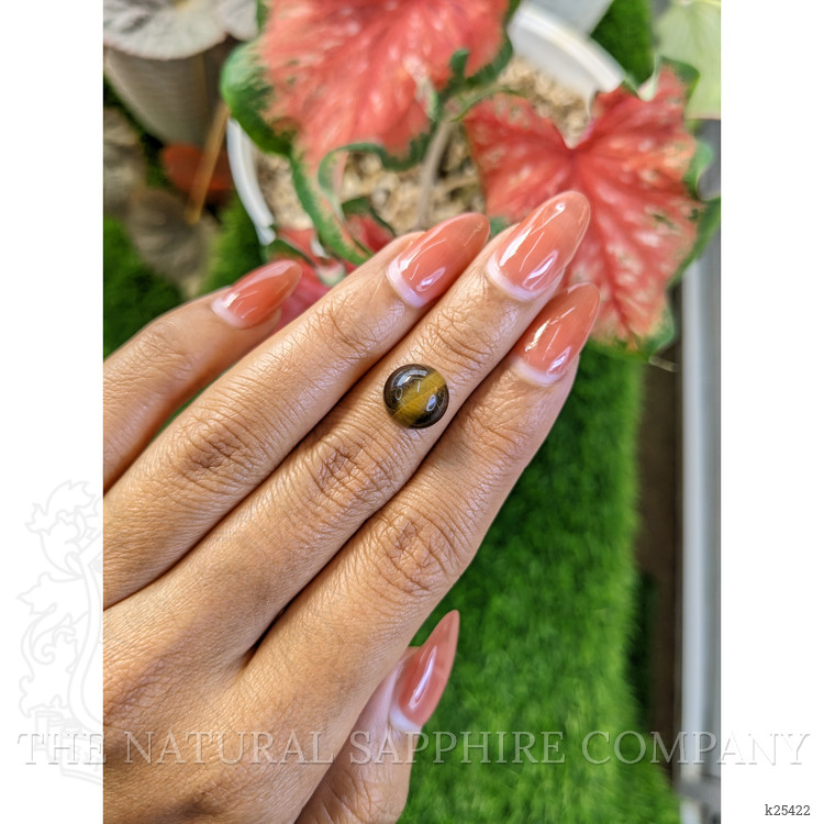 4.56 Ct. Cabochon Tiger's Eye from Ceylon (Sri Lanka)