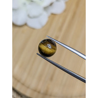 4.56 Ct. Cabochon Tiger's Eye from Ceylon (Sri Lanka) Life Style