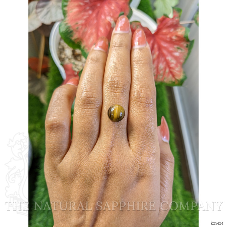 4.41 Ct. Cabochon Tiger's Eye from Ceylon (Sri Lanka)