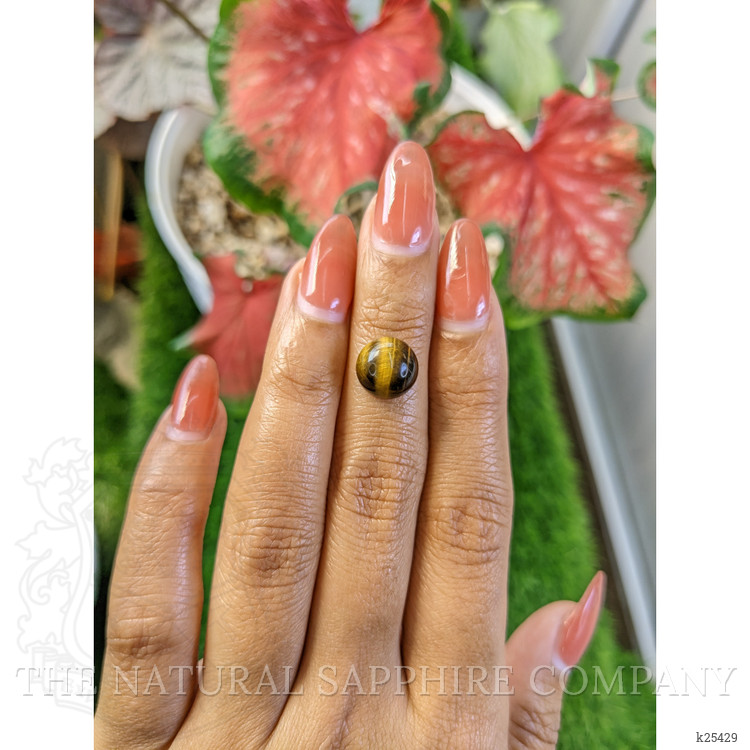 4.14 Ct. Cabochon Tiger's Eye from Ceylon (Sri Lanka)