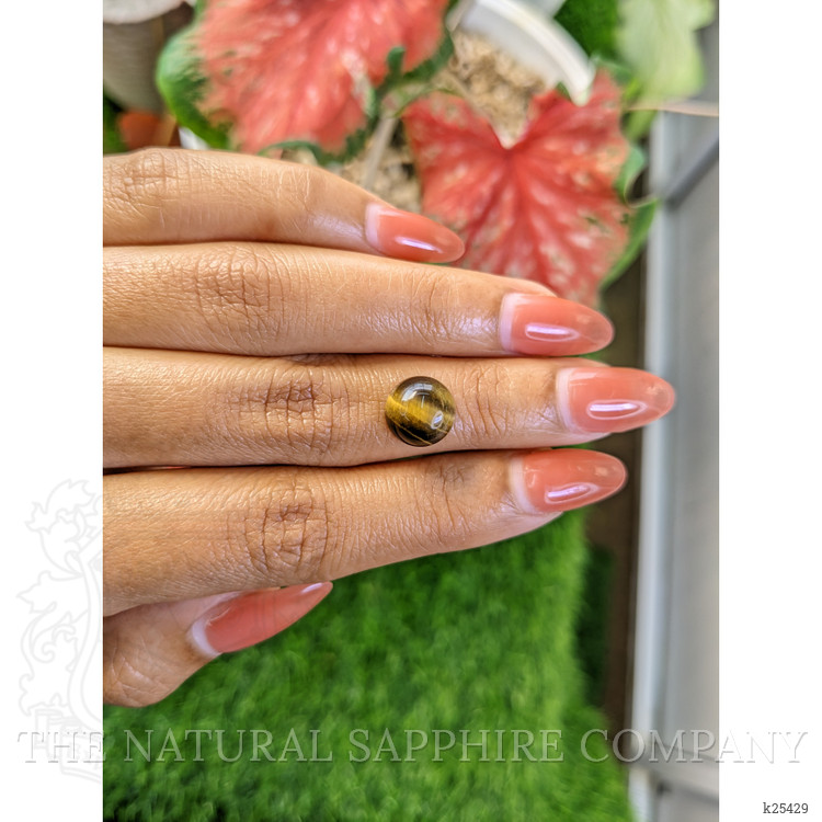 4.14 Ct. Cabochon Tiger's Eye from Ceylon (Sri Lanka)