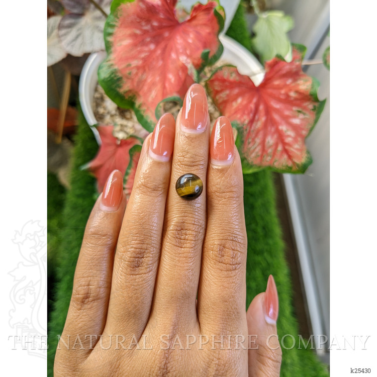 4.27 Ct. Cabochon Tiger's Eye from Ceylon (Sri Lanka)