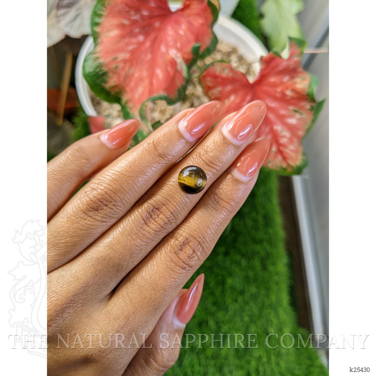 4.27 Ct. Cabochon Tiger's Eye from Ceylon (Sri Lanka)