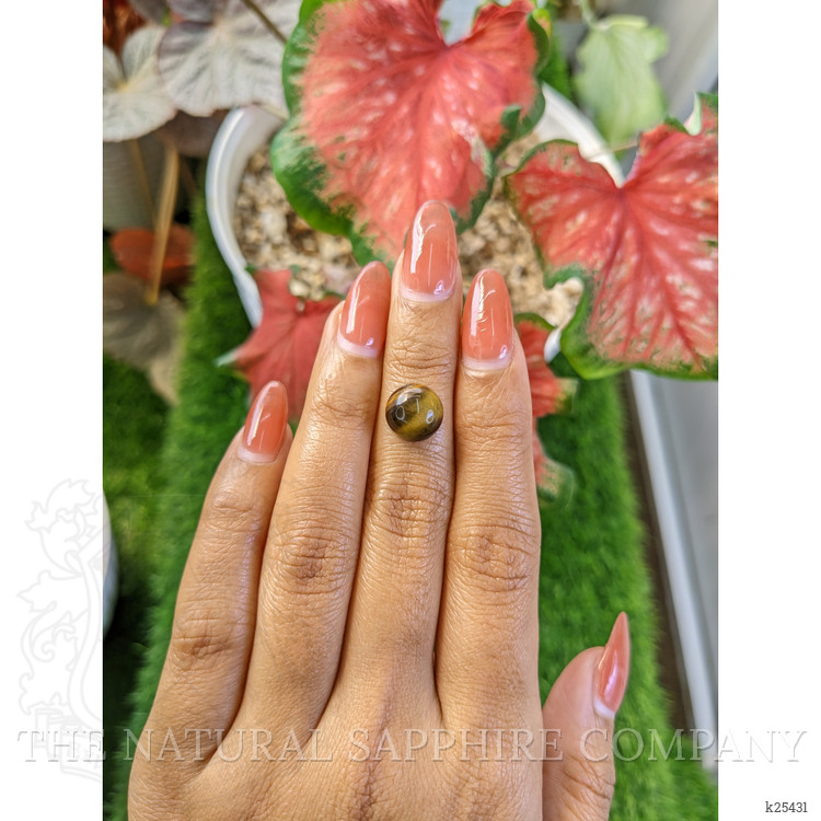 4.47 Ct. Cabochon Tiger's Eye from Ceylon (Sri Lanka)