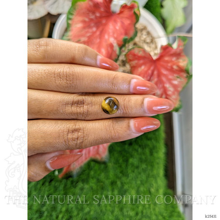 4.47 Ct. Cabochon Tiger's Eye from Ceylon (Sri Lanka)