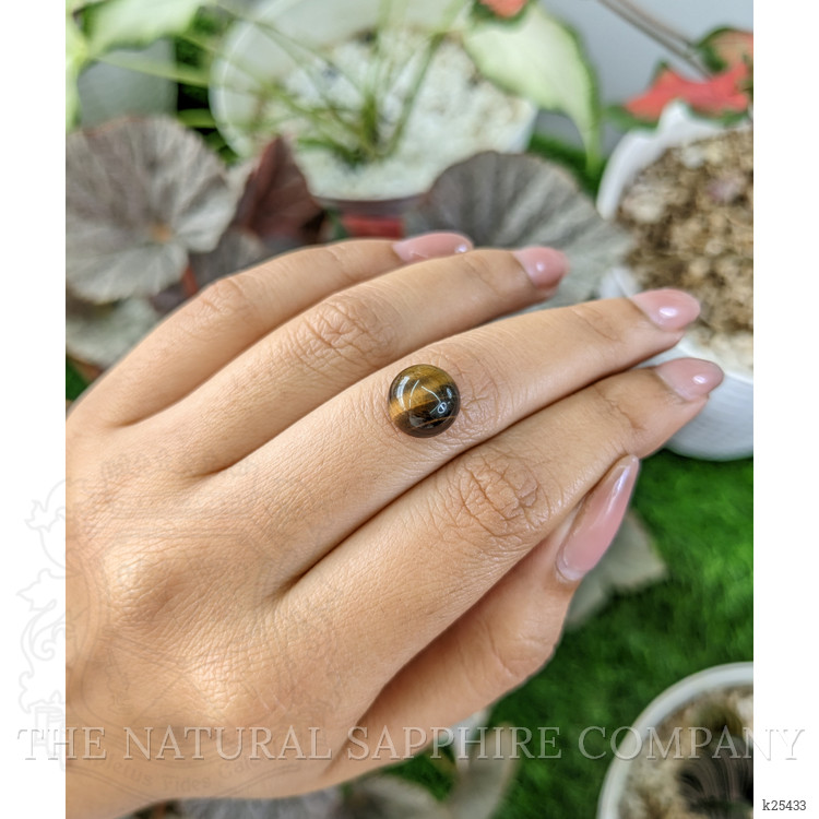 4.37 Ct. Cabochon Tiger's Eye from Ceylon (Sri Lanka)
