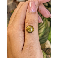 4.22 Ct. Cabochon Tiger's Eye from Ceylon (Sri Lanka) Life Style