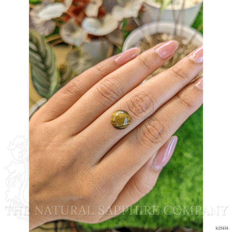 4.22 Ct. Cabochon Tiger's Eye from Ceylon (Sri Lanka)