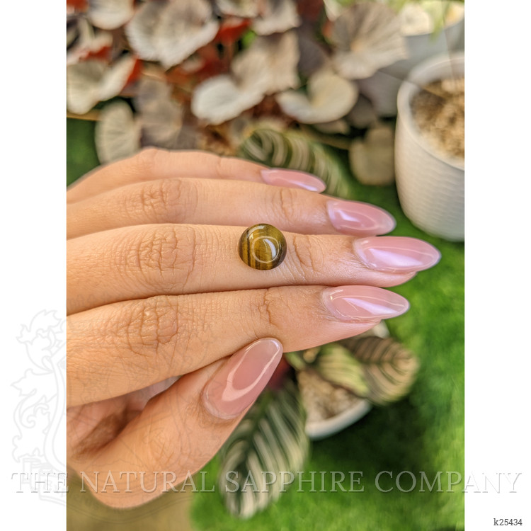 4.22 Ct. Cabochon Tiger's Eye from Ceylon (Sri Lanka)