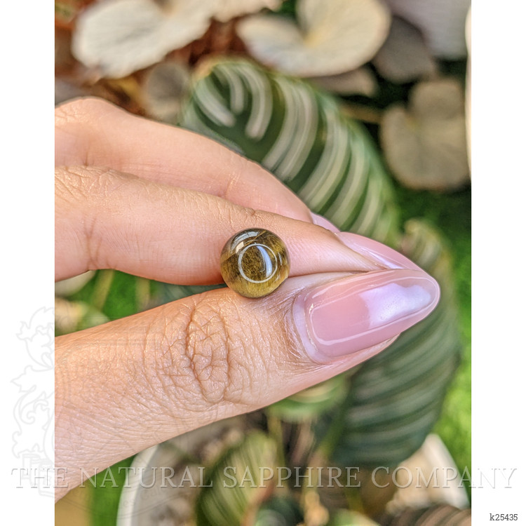 4.21 Ct. Cabochon Tiger's Eye from Ceylon (Sri Lanka)