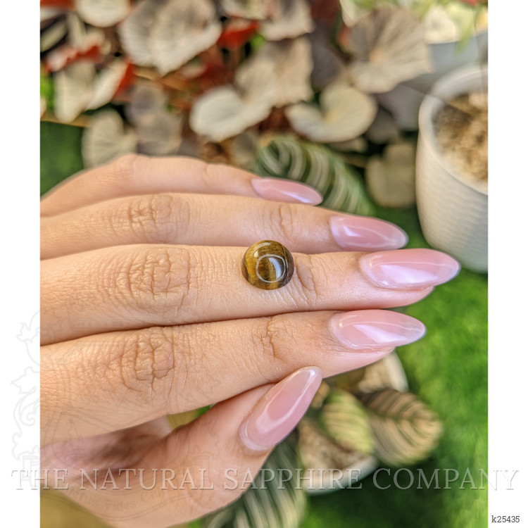 4.21 Ct. Cabochon Tiger's Eye from Ceylon (Sri Lanka)