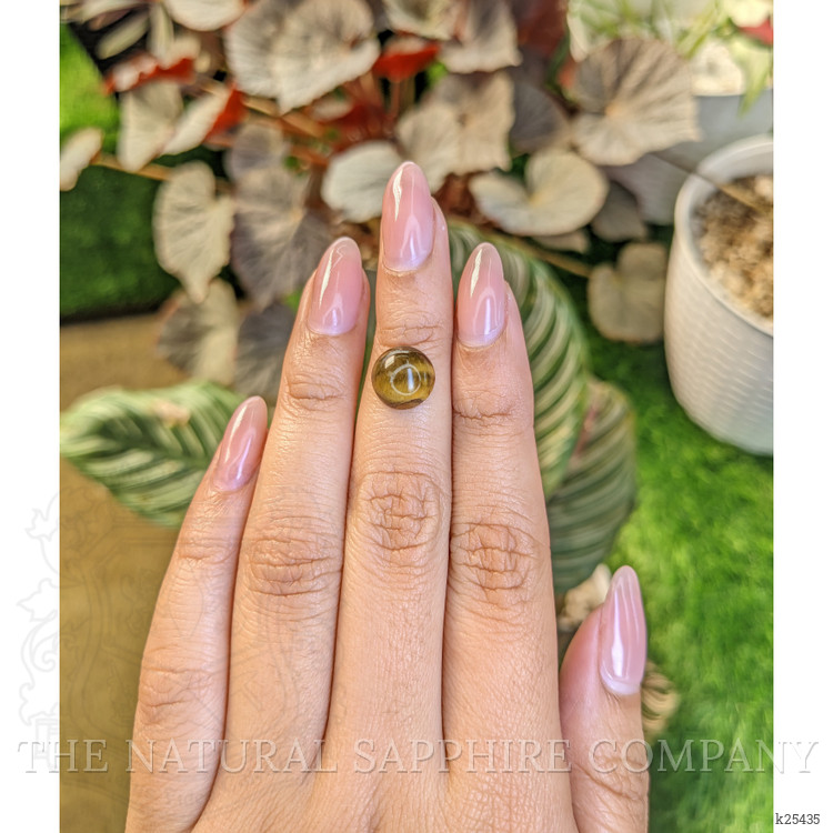 4.21 Ct. Cabochon Tiger's Eye from Ceylon (Sri Lanka)