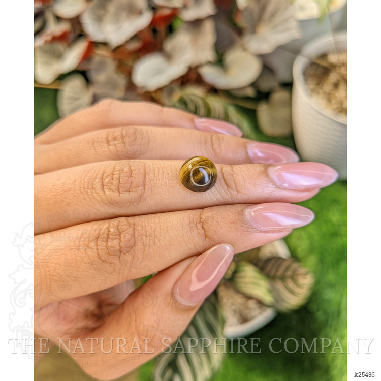 4.26 Ct. Cabochon Tiger's Eye from Ceylon (Sri Lanka)