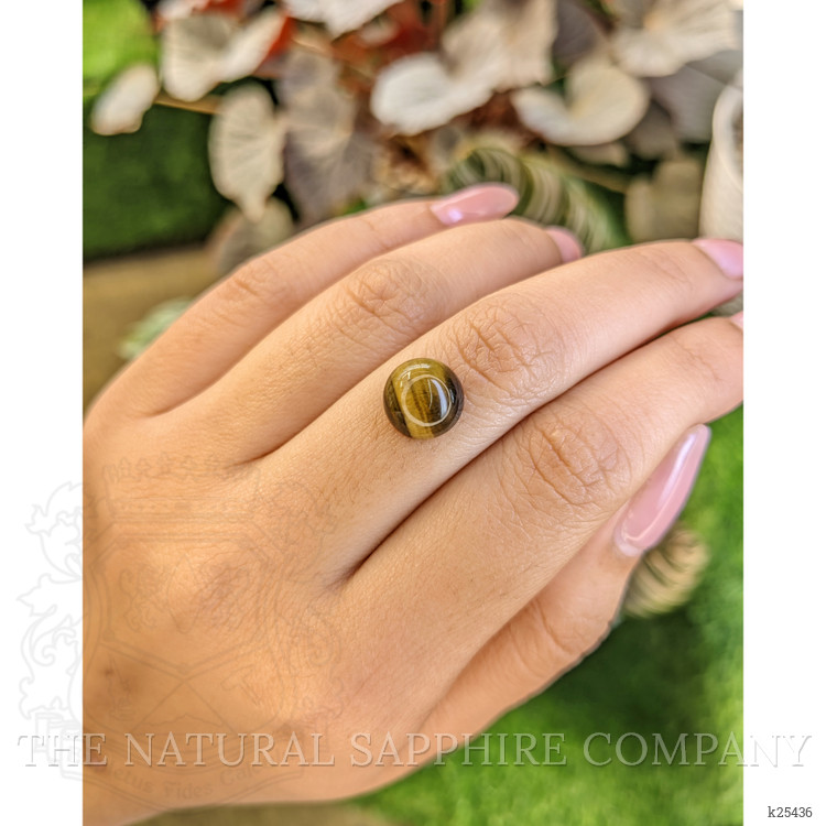 4.26 Ct. Cabochon Tiger's Eye from Ceylon (Sri Lanka)