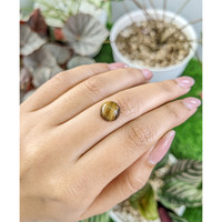 4.28 Ct. Cabochon Tiger's Eye from Ceylon (Sri Lanka) Life Style