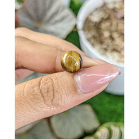 4.28 Ct. Cabochon Tiger's Eye from Ceylon (Sri Lanka) Life Style