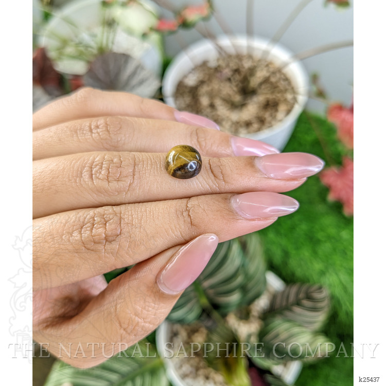 4.28 Ct. Cabochon Tiger's Eye from Ceylon (Sri Lanka)
