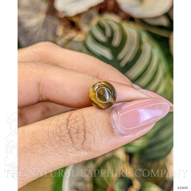 4.27 Ct. Cabochon Tiger's Eye from Ceylon (Sri Lanka)