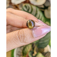 4.58 Ct. Cabochon Tiger's Eye from Ceylon (Sri Lanka) Life Style