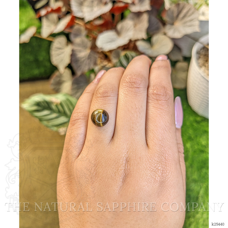 4.58 Ct. Cabochon Tiger's Eye from Ceylon (Sri Lanka)